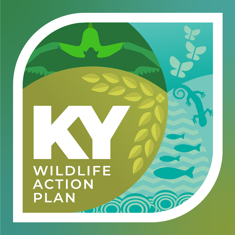 Kentucky Fish And Wildlife Seeks Input On Revised State Wildlife Action ...